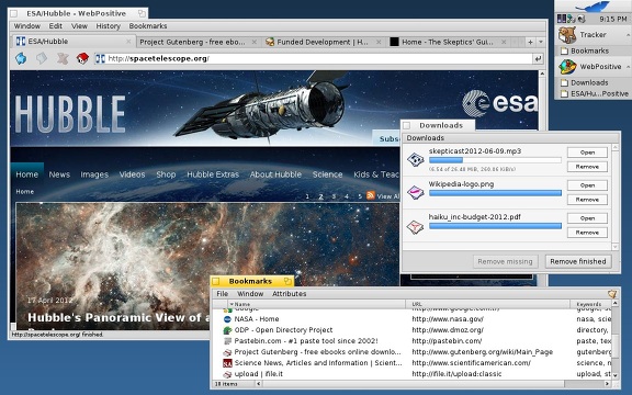 Screenshot of Installer