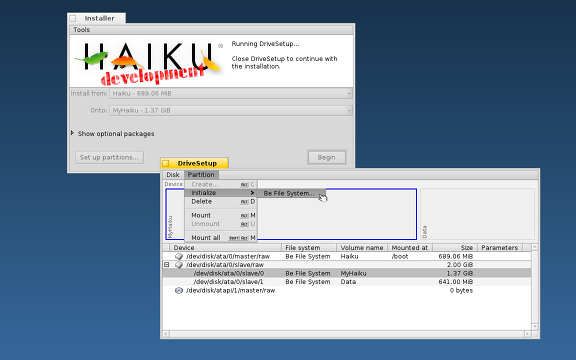 Screenshot of Installer